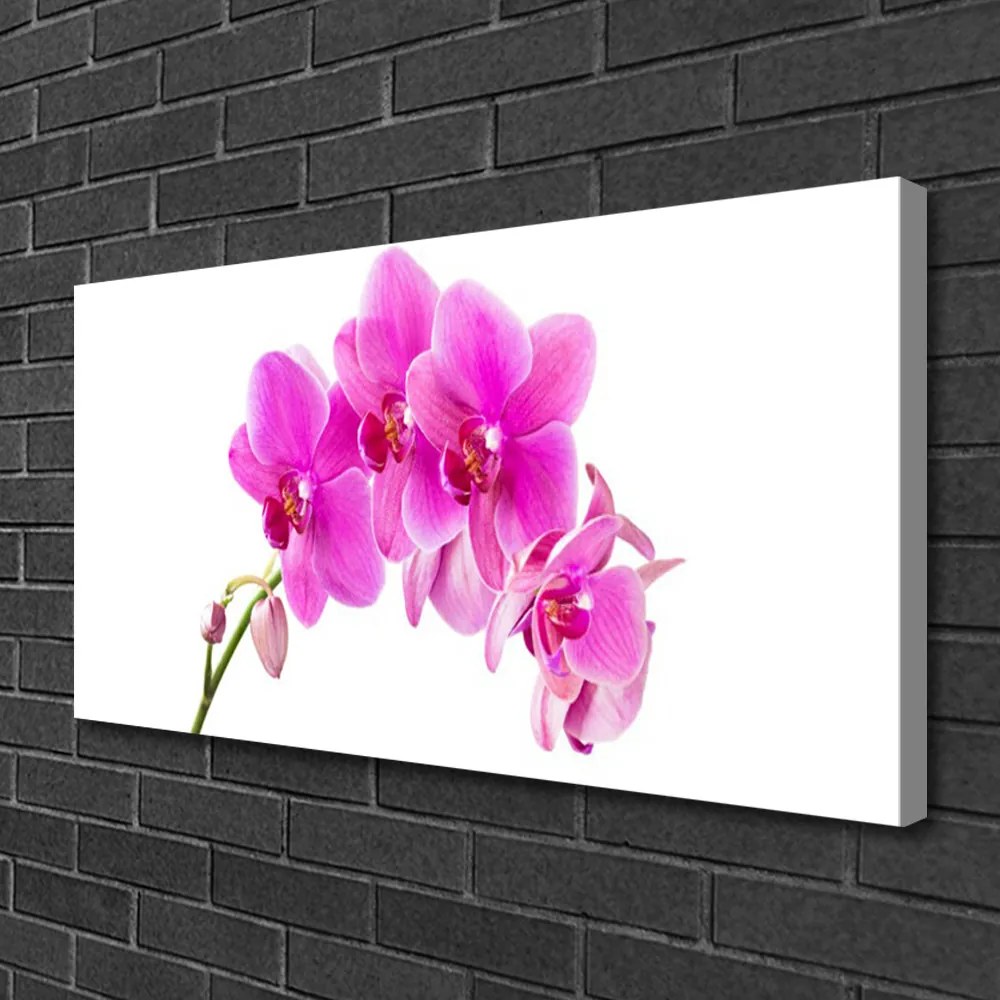 Obraz Canvas Vstavač kvet orchidea 120x60 cm