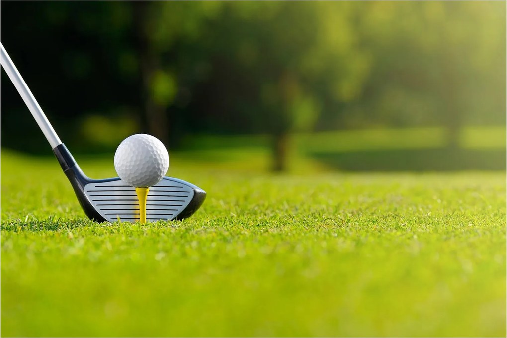 Obraz - Golf (90x60 cm)