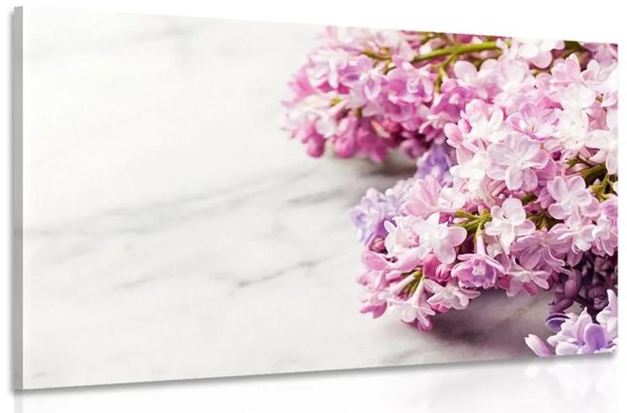 Obraz nádherné kvety na mramorovom podklade Varianta: 90x60