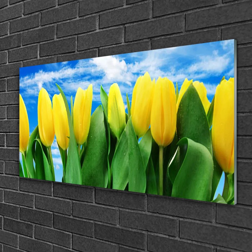 Obraz na skle Tulipány kvety 100x50 cm 2 Prívesky