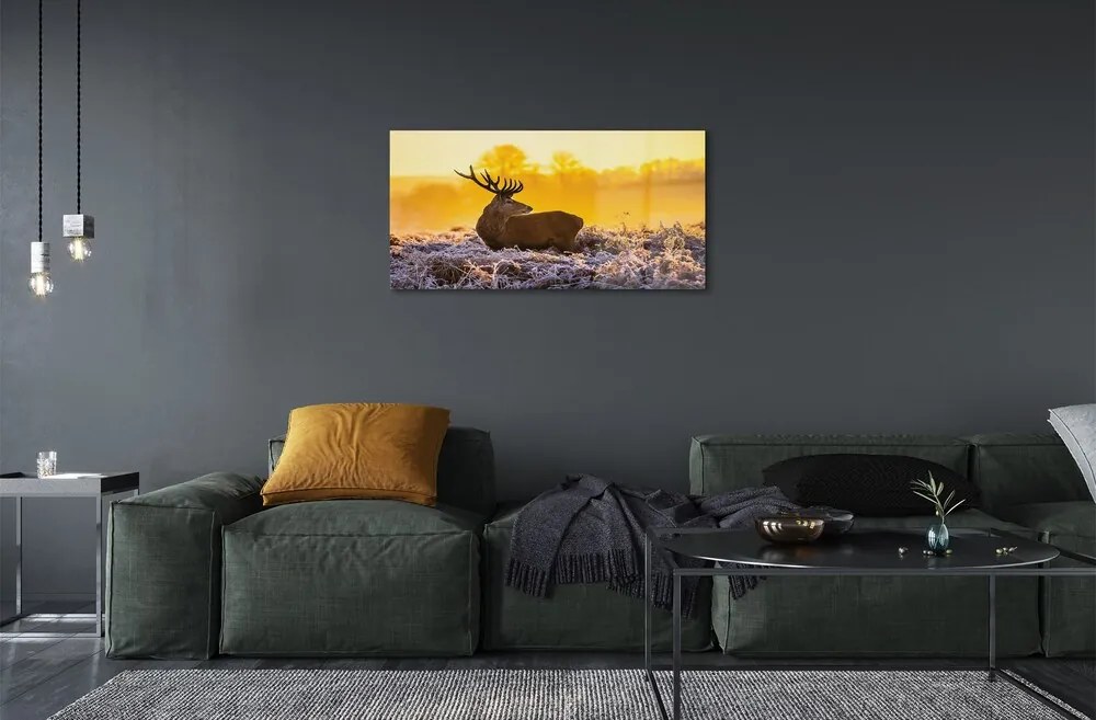 Sklenený obraz Jeleň zimné slnko 120x60 cm