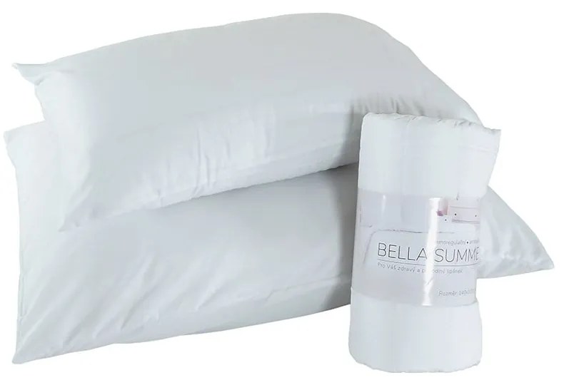 Obliečka na vankúš z mikrovlákna 45x75 cm Summer – B.E.S.