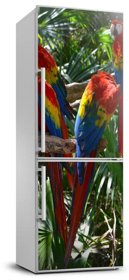 Foto nálepka na chladničku stenu Papagáje Ara FridgeStick-70x190-f-100820443