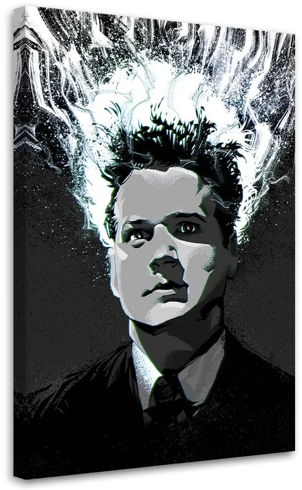 Gario Obraz na plátne Eraserhead - Nikita Abakumov Rozmery: 40 x 60 cm
