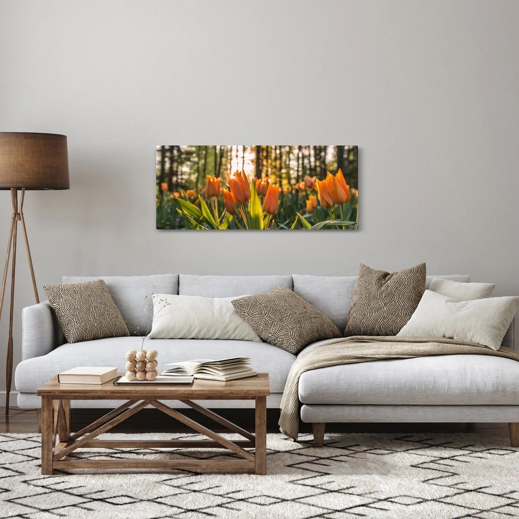Obraz - oranžové tulipány (120x50 cm)