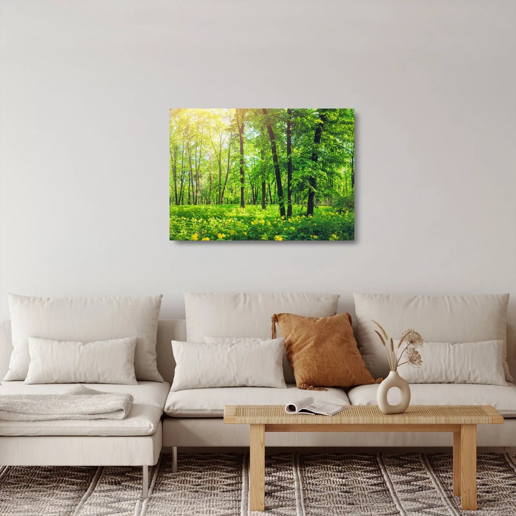 Sklenený obraz - Jarný listnatý les (70x50 cm)