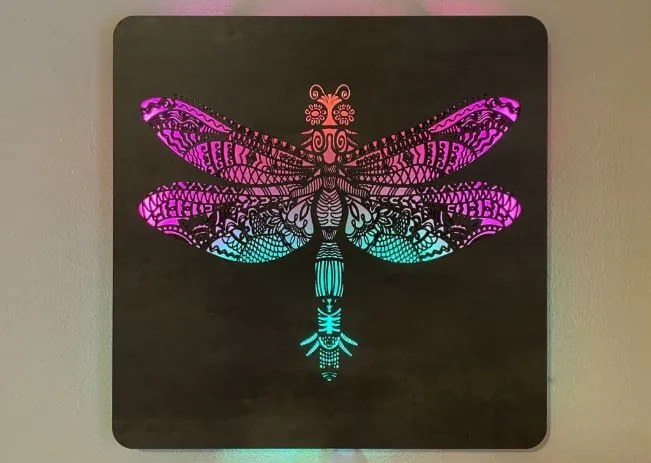 Led obraz Vážka RGB