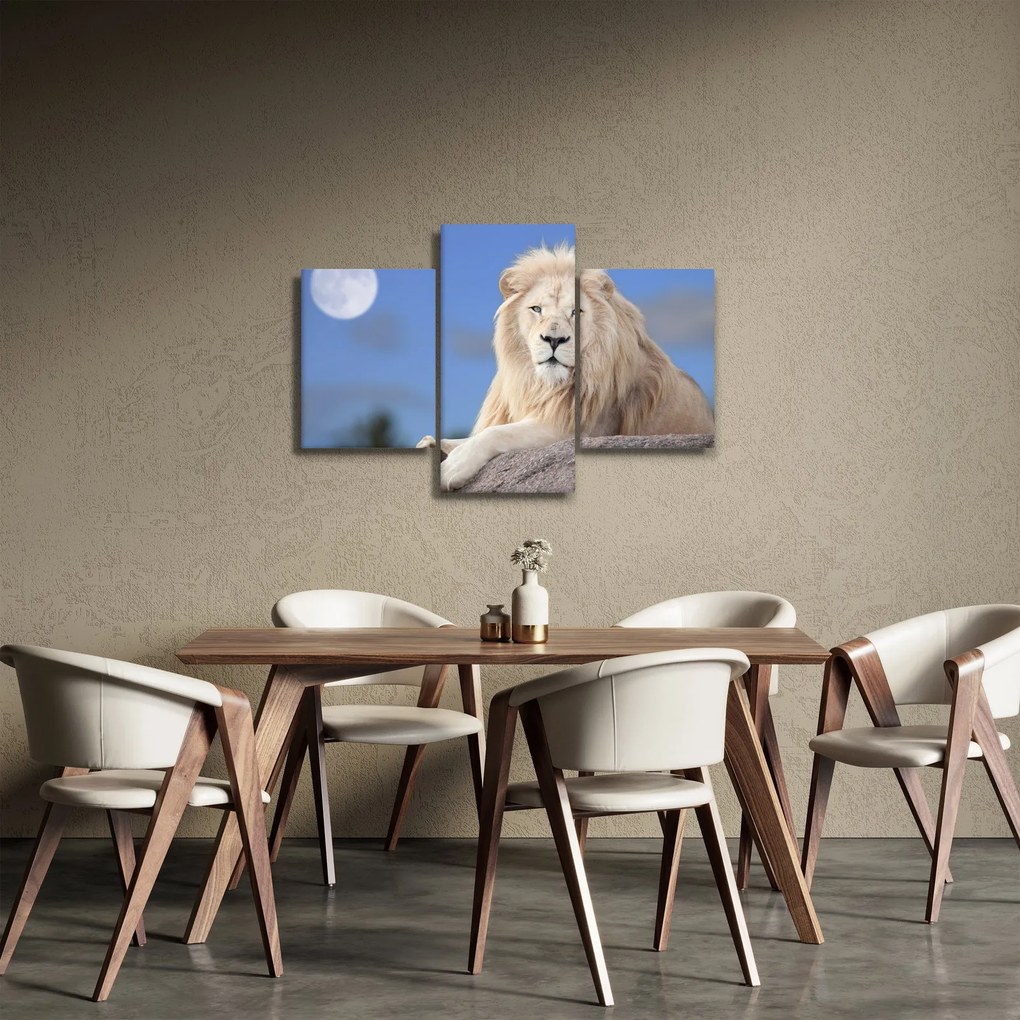 Obraz - Biely lev (90x60 cm)
