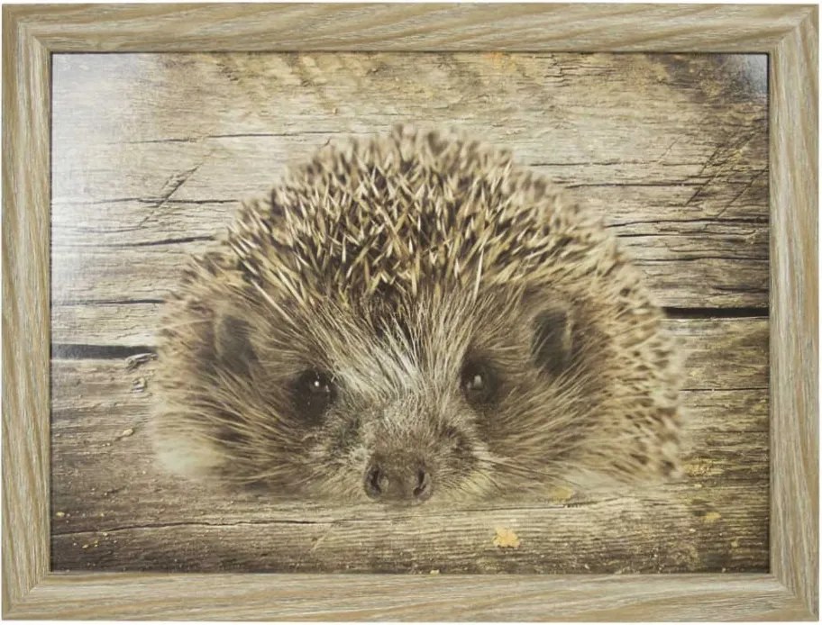 Podnos na nohy s ježkom - 43 * 33 * 7cm