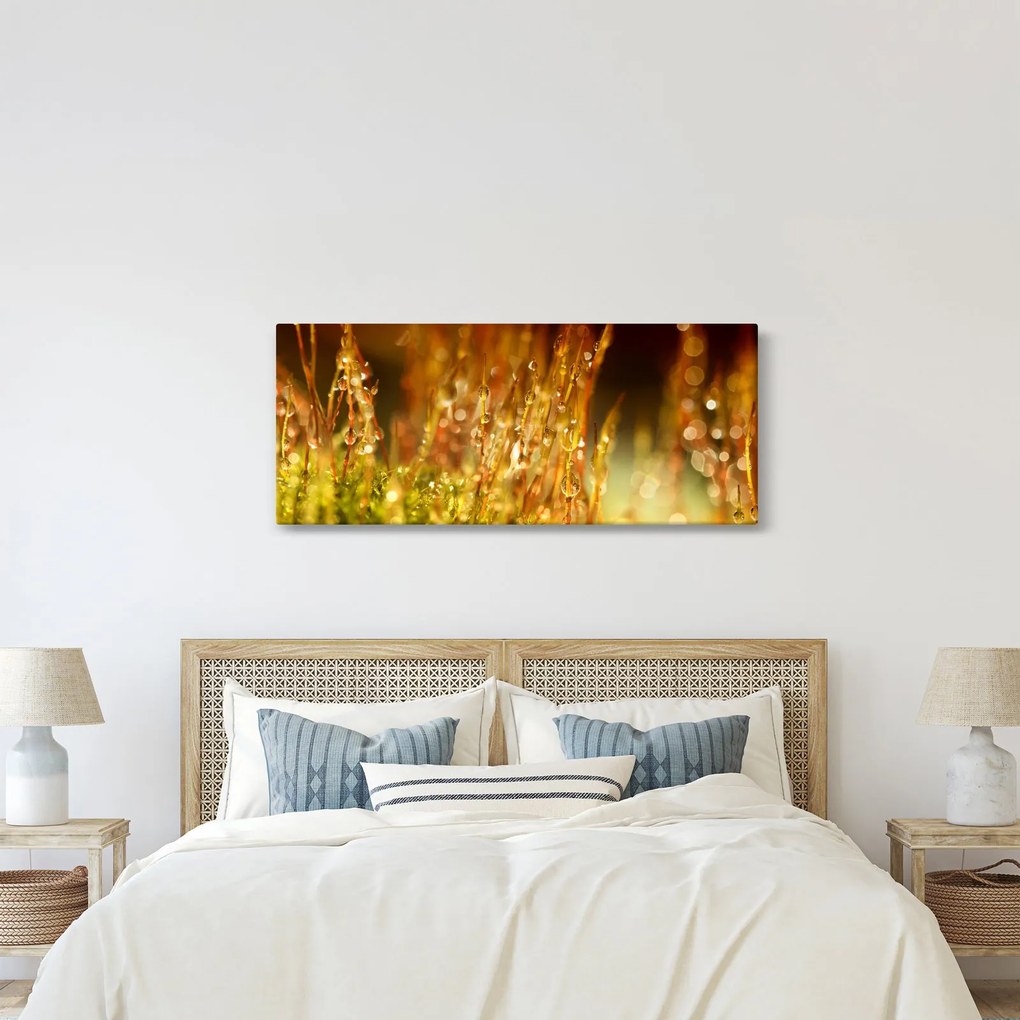Obraz - Detail rosy (120x50 cm)