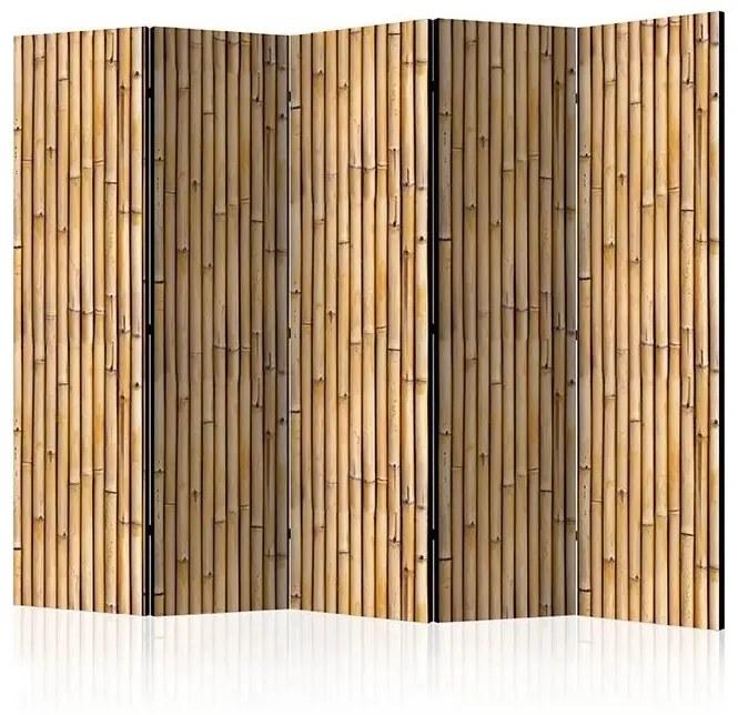 Paraván - Amazonian Wall II [Room Dividers] Veľkosť: 225x172, Verzia: Akustický