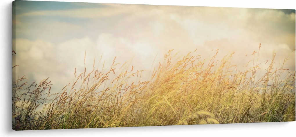 Obraz - Pole na jeseň (120x50 cm)