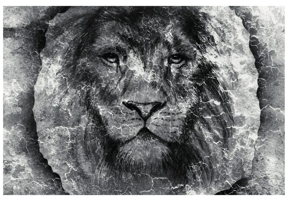 Samolepiaca tapeta tvár leva v čiernobielom prevedení