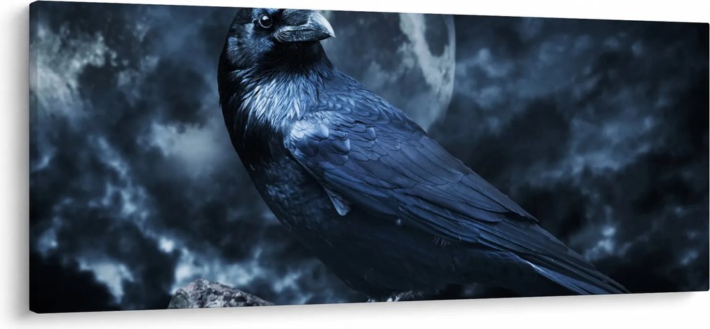 Obraz - Havran (120x50 cm)