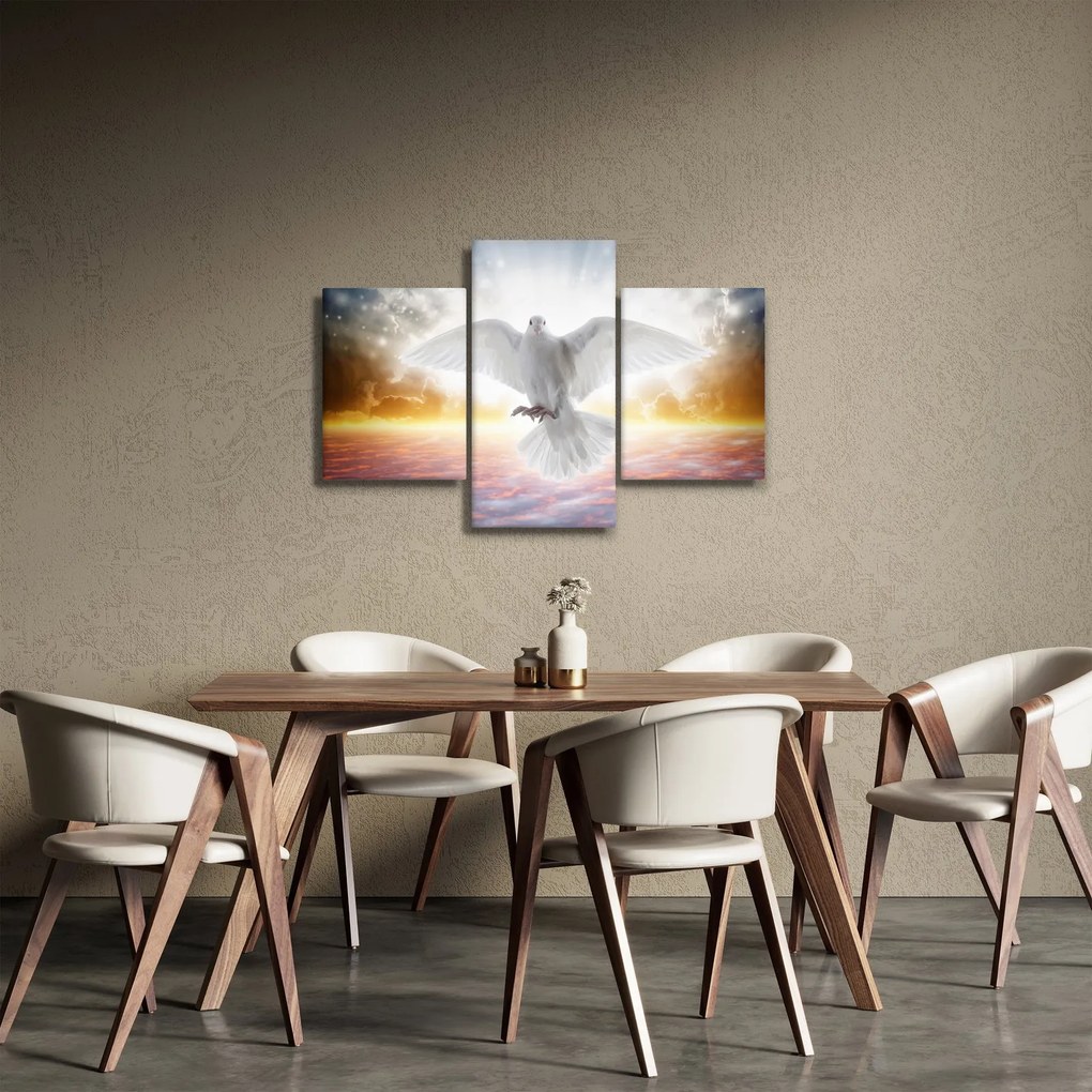 Obraz holubice (90x60 cm)