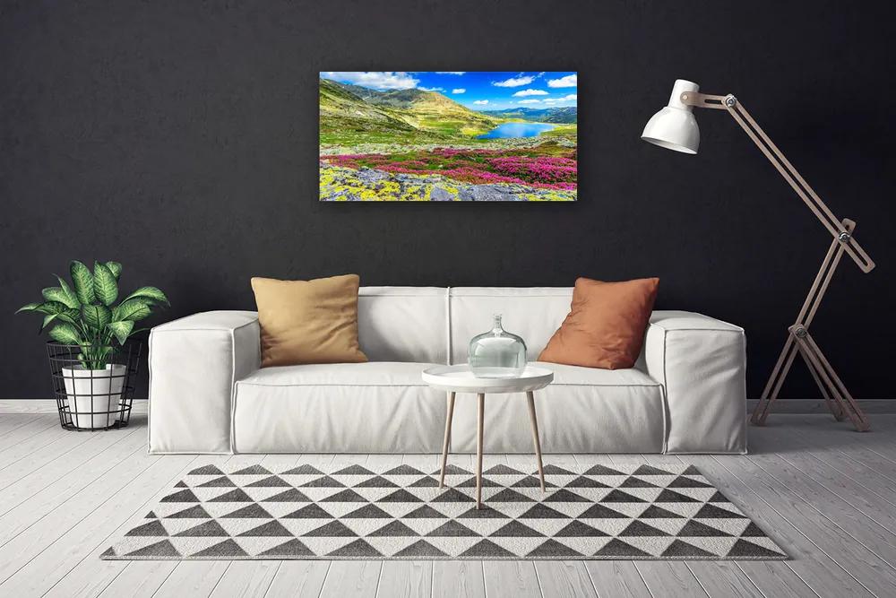 Obraz na plátne Hora záliv lúka príroda 125x50 cm