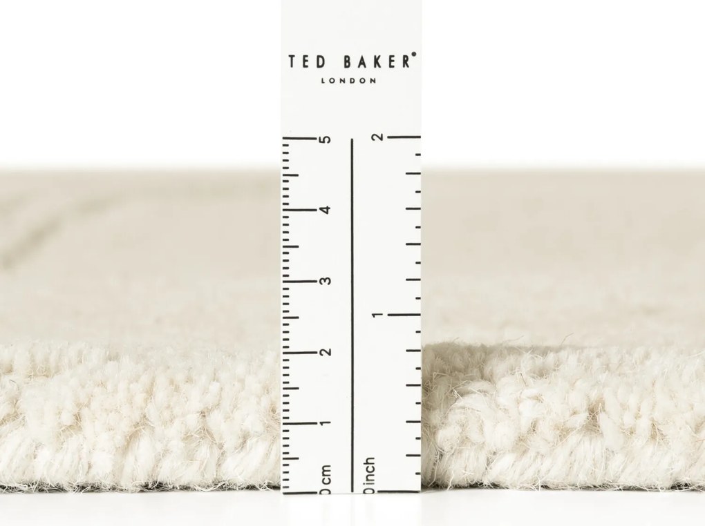 Ted Baker, Kusový koberec Ted Baker Kensington 106399 Cream, 160x230, biela, kancelária