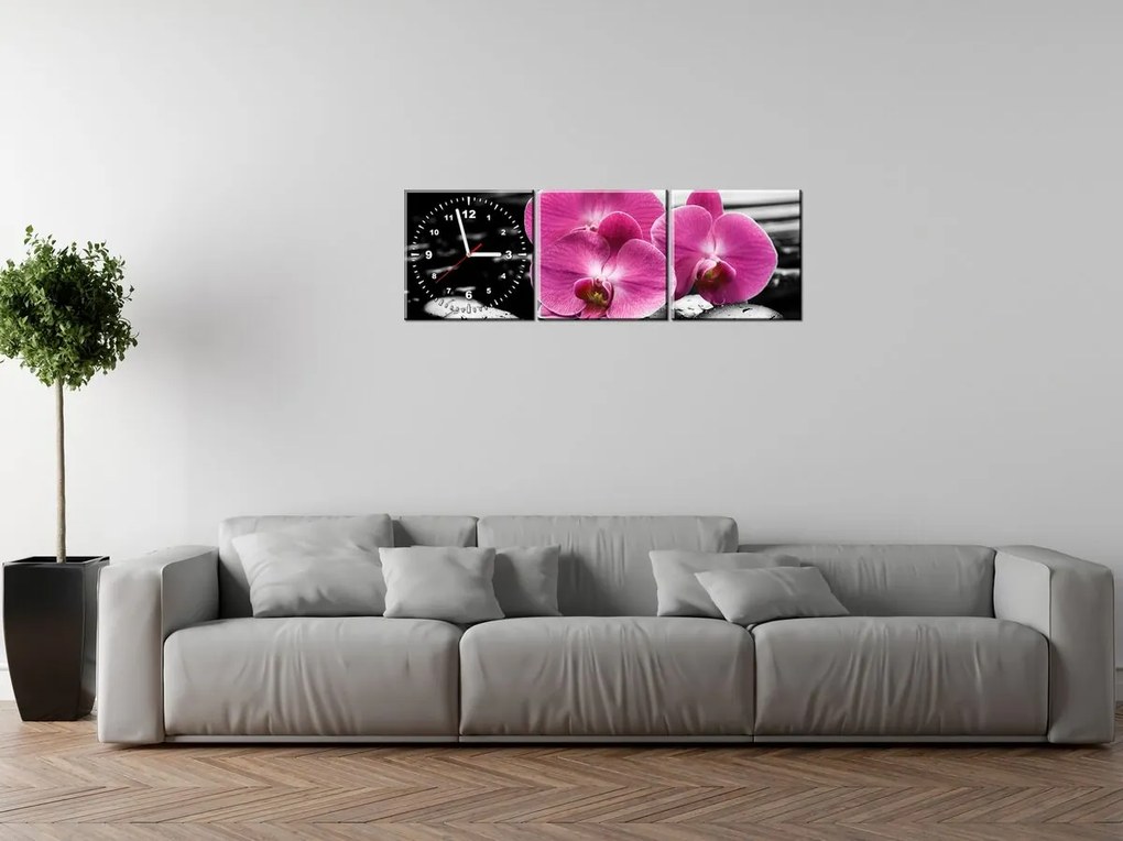 Gario Obraz s hodinami Krásna orchidea medzi kameňmi - 3 dielny Rozmery: 90 x 70 cm