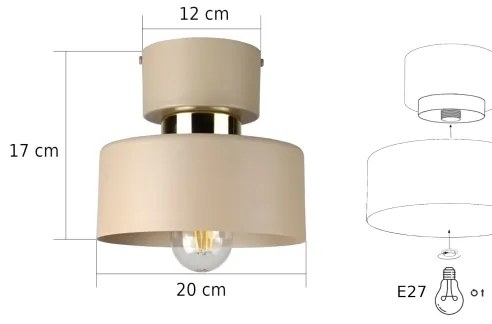 Stropné svietidlo IGNIA 1xE27/60W/230V béžové/zlaté