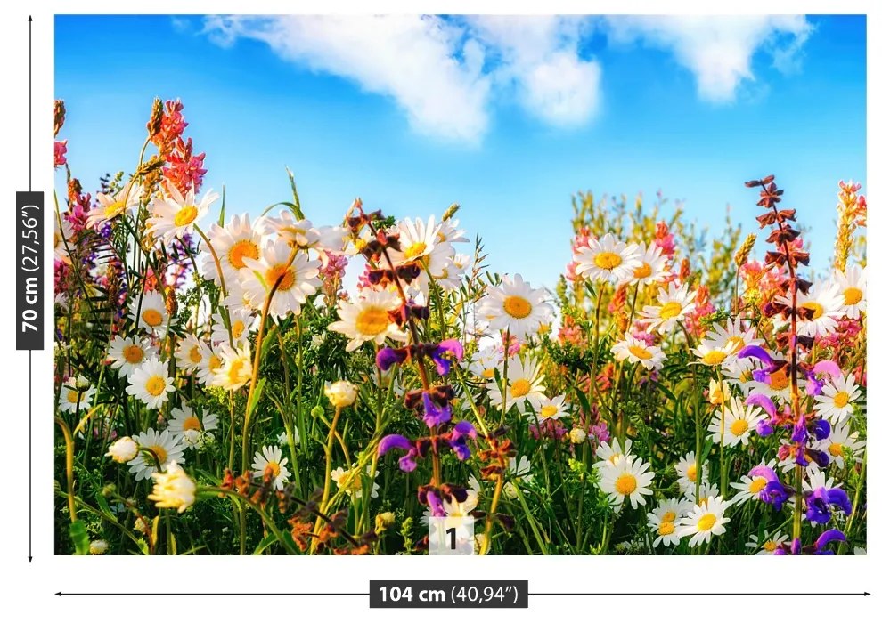 Fototapeta Vliesová Jarné kvety 104x70 cm