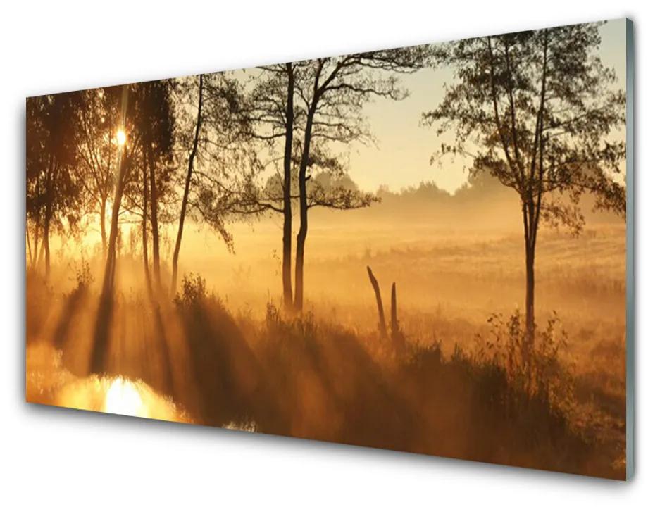 Obraz na skle Stromy príroda 120x60 cm
