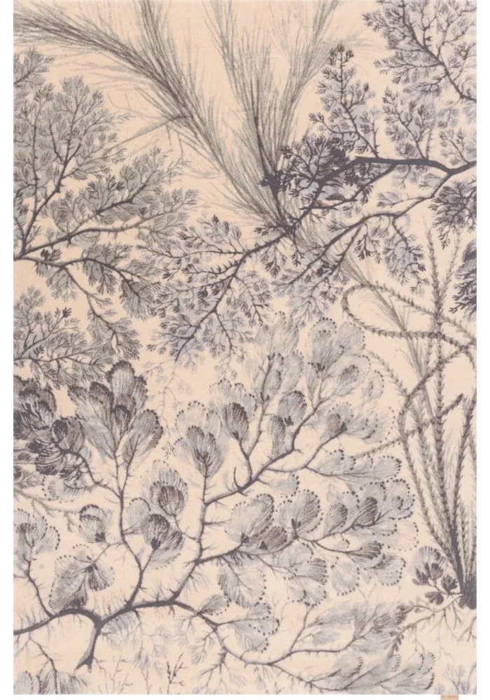 Vlnený koberec v mentolovej a béžovej farbe 133x190 cm V&amp;A Calisia Kelp – Agnella