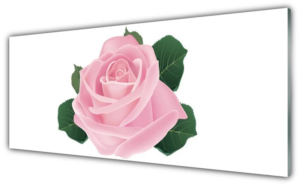 Obraz na akrylátovom skle Ruže kvet rastlina 125x50 cm