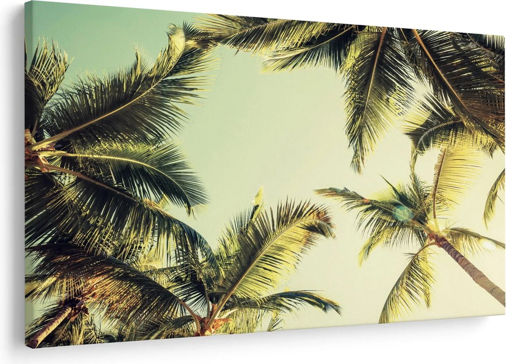 Obraz s kokosovými palmami (90x60 cm)