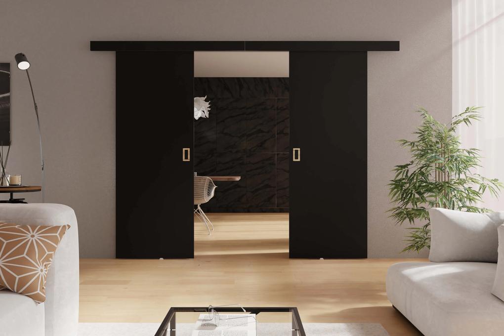 Posuvné dvere WERDI DUO | 192 cm Farba: Čierna