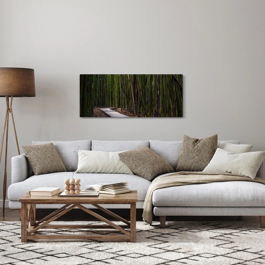 Obraz - Medzi bambusy (120x50 cm)