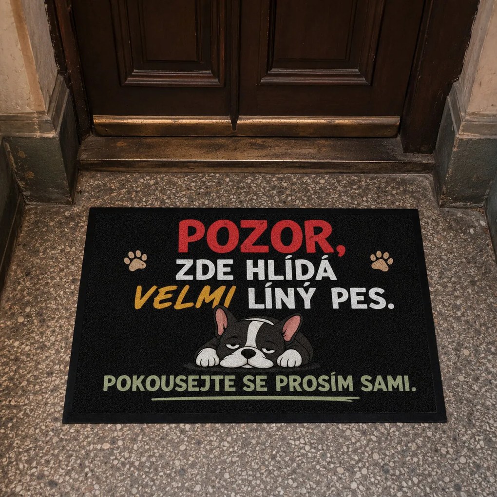 Mercury Flooring, Rohožka Líný pes 40x60 cm - na von aj na doma, 40x60, šedá