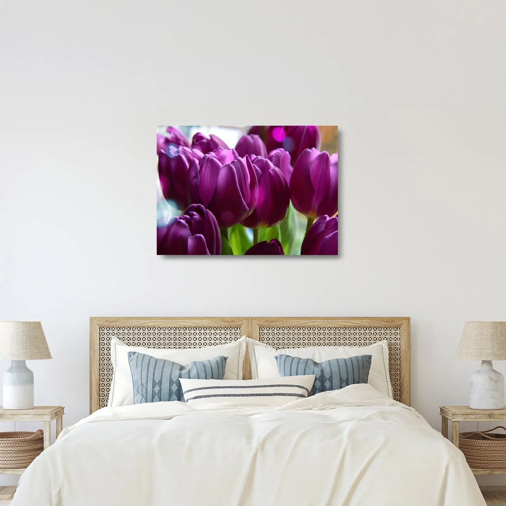 Sklenený obraz tulipánov (70x50 cm)