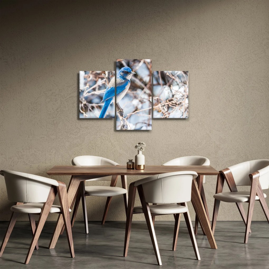 Obraz - Zimný vtáčik (90x60 cm)