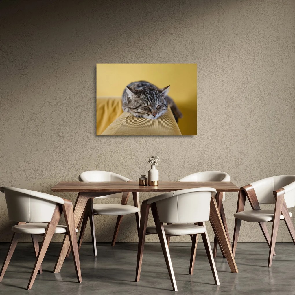 Sklenený obraz mačky na pohovke (70x50 cm)