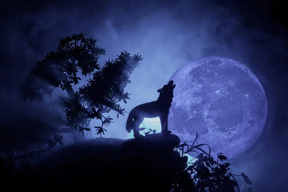 Obraz vlk v splne mesiaca Varianta: 120x80