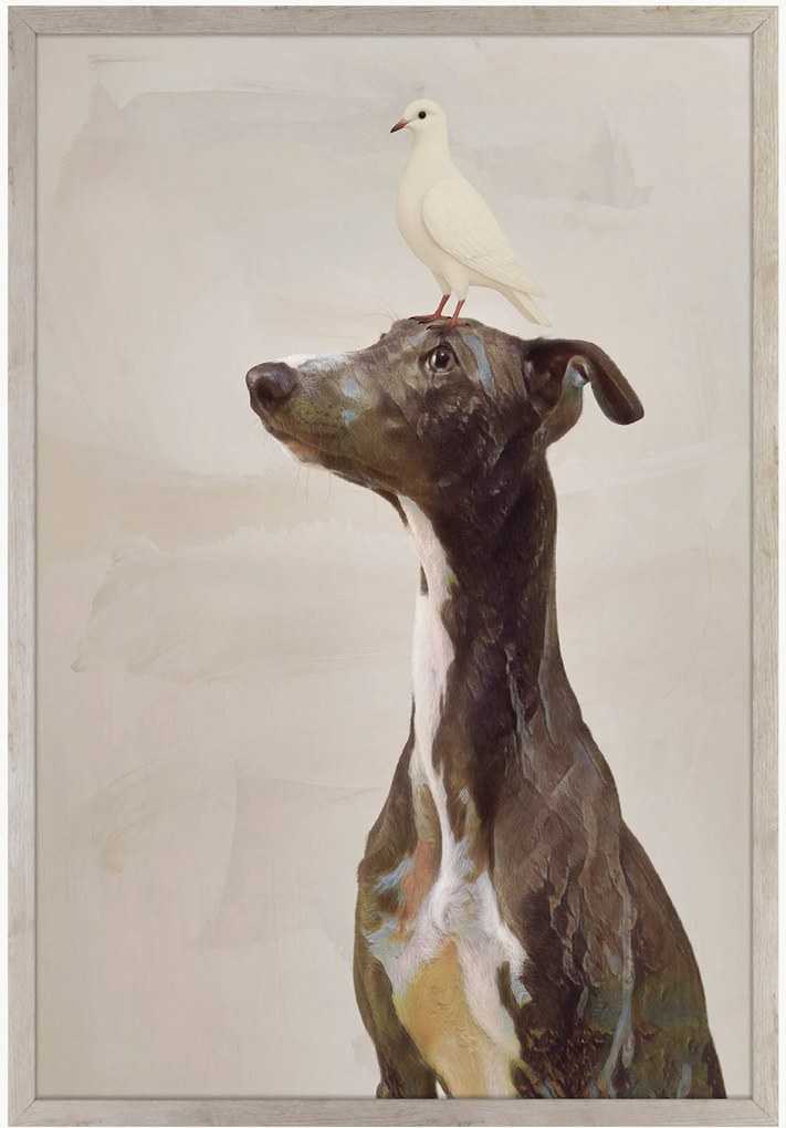 Nástenná dekorácia v ráme Greyhound Dog And Dove