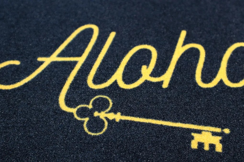 Rohožka Alohomora 40x60 cm, 40x60, čierna, Mercury Flooring