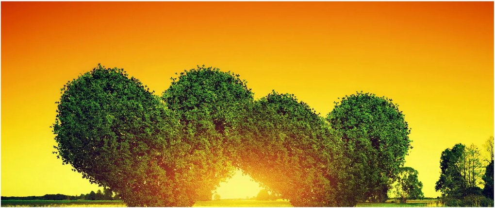 Obraz - Srdce v korunách stromov (120x50 cm)