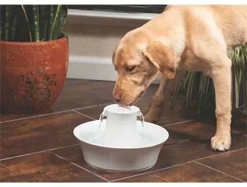 PetSafe® Avalon Keramická fontánka 2 l