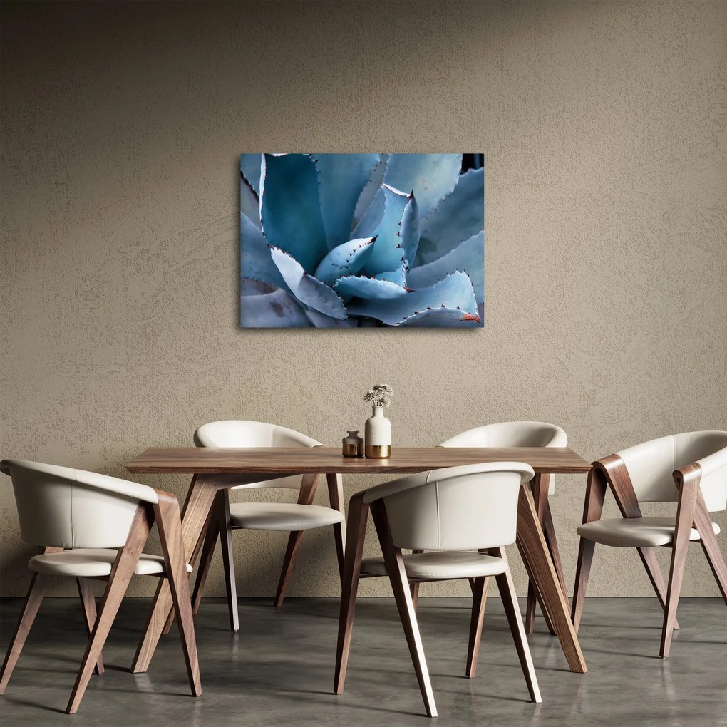 Obraz - Agáve (70x50 cm)