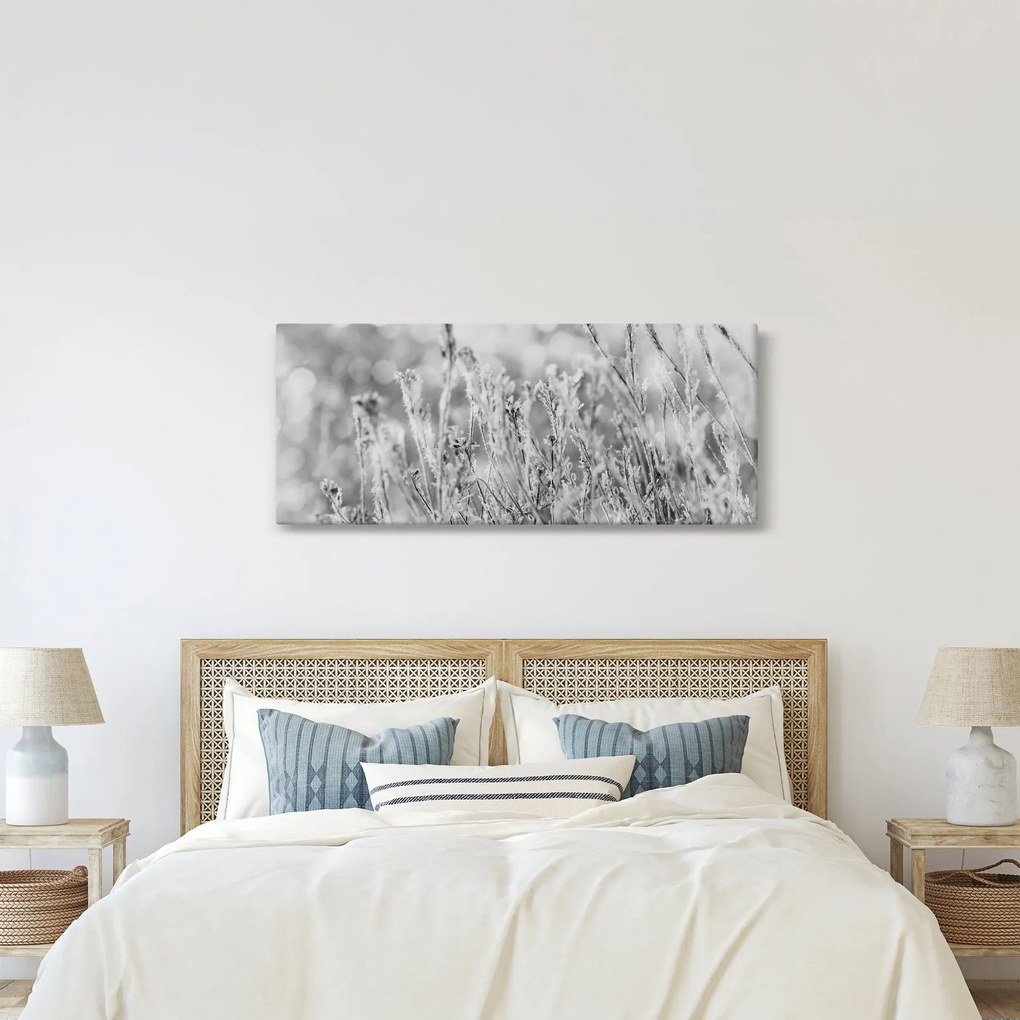 Obraz - Chladná zima (120x50 cm)
