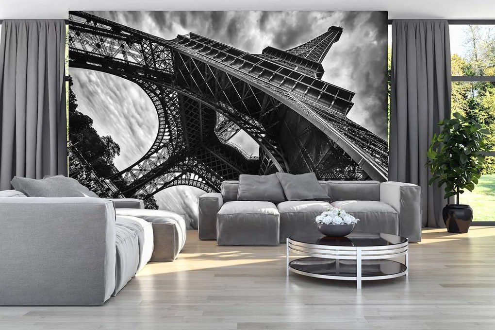 Fototapeta - Paríž (254x184 cm)