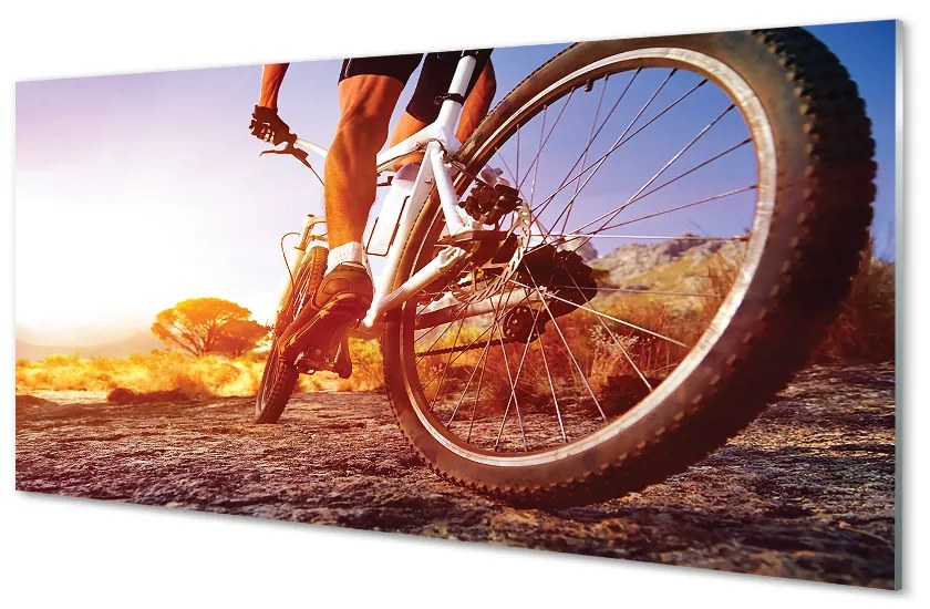 Obraz plexi Bicykel horskej ceste západ 100x50 cm