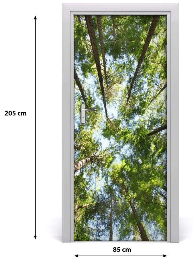 Fototapeta na dvere samolepiace koruna stromov 85x205 cm