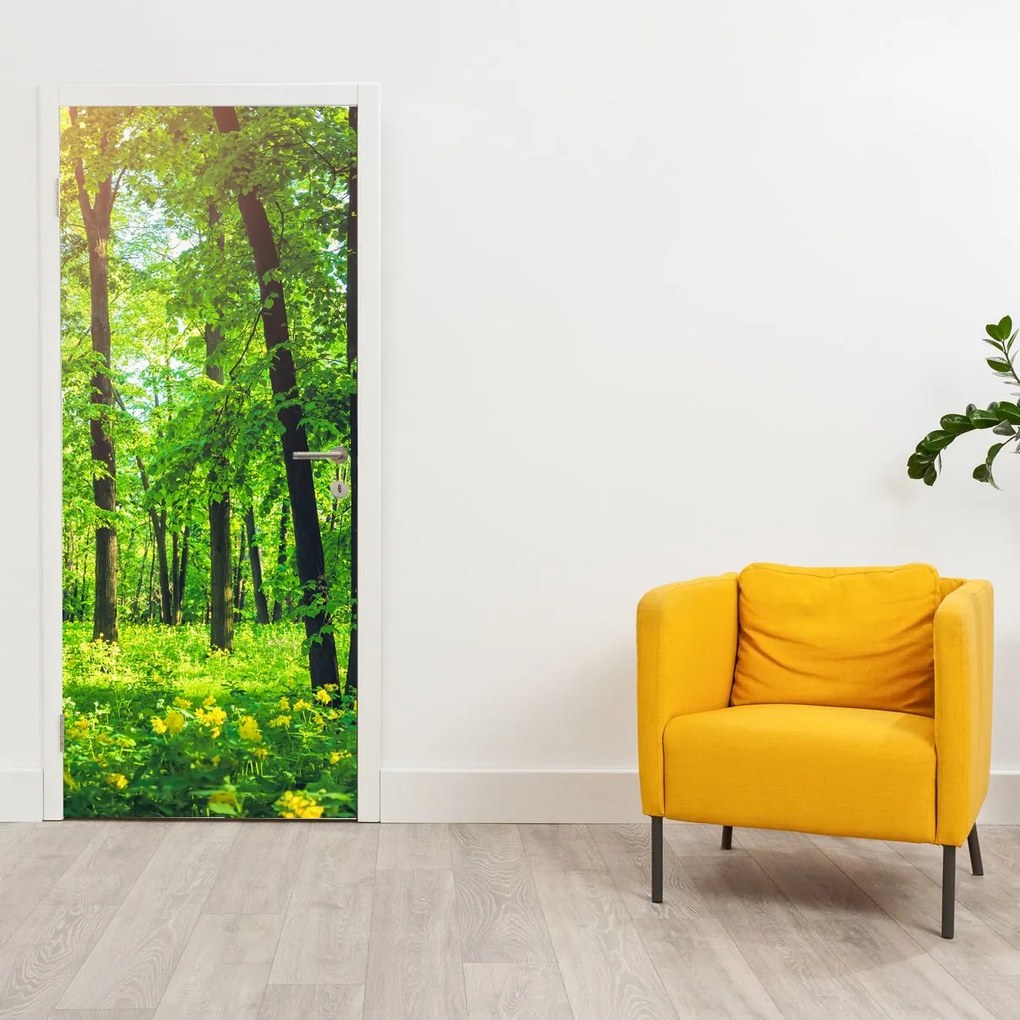 Fototapeta na dvere - Jarný listnatý les (95x205cm)