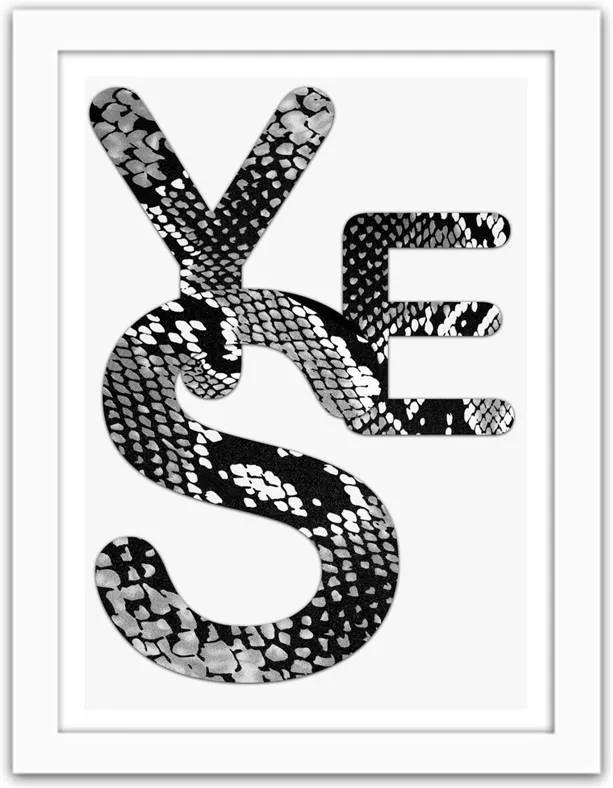 CARO Obraz v ráme - Yes - Snake Skin Biela 30x40 cm