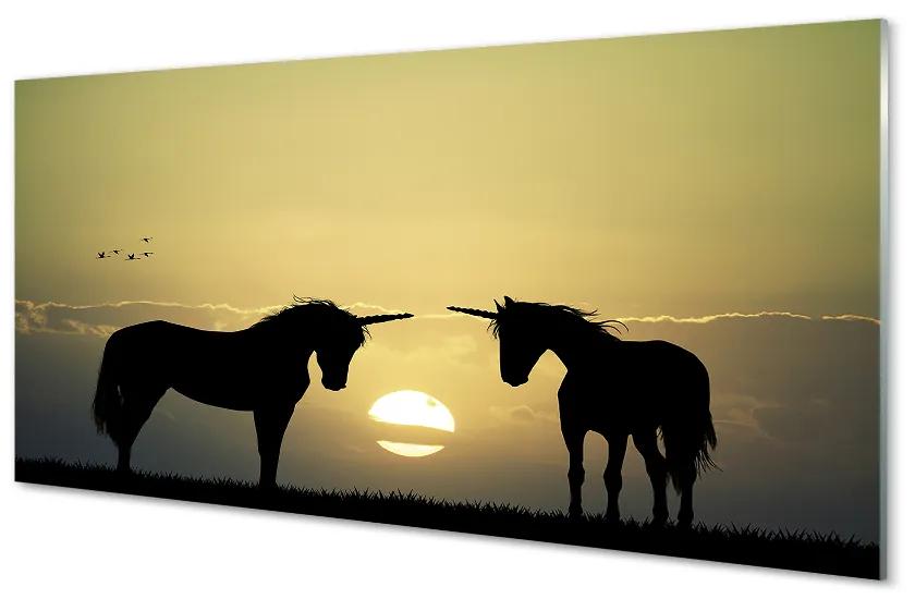 Sklenený obraz Poľné sunset jednorožce 125x50 cm