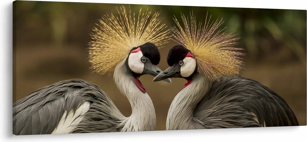 Obraz vtákov (120x50 cm)
