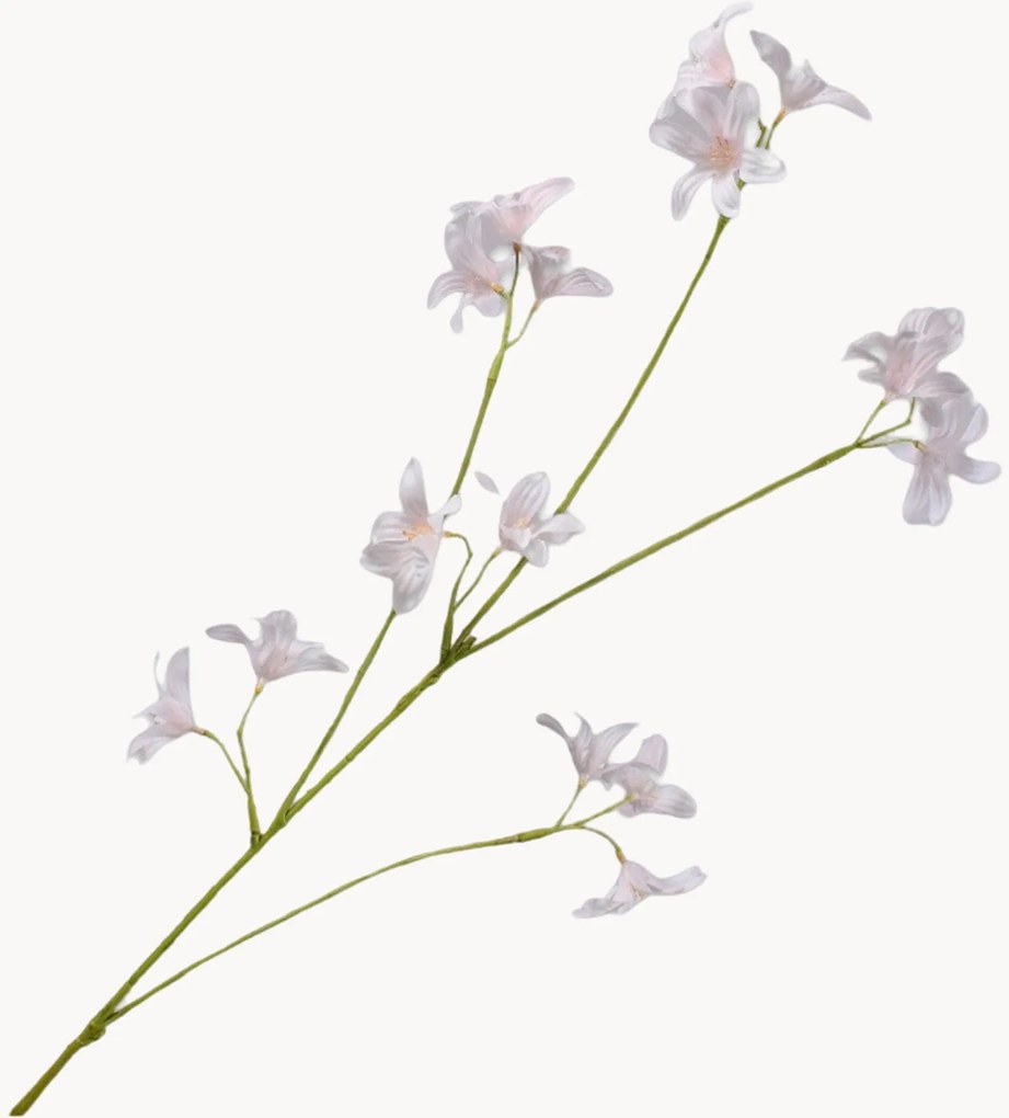Rastlinná dekorácia Hyacinth