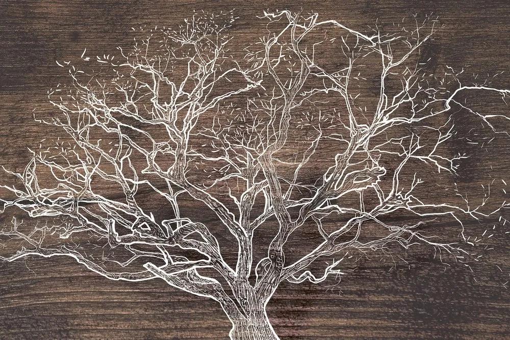 Obraz koruna stromu na drevenom podklade Varianta: 120x80